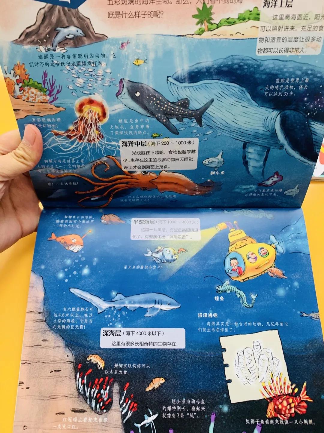 哈佛校长带娃去一个陌生地方,哈佛女校长带孩子去不同的地方