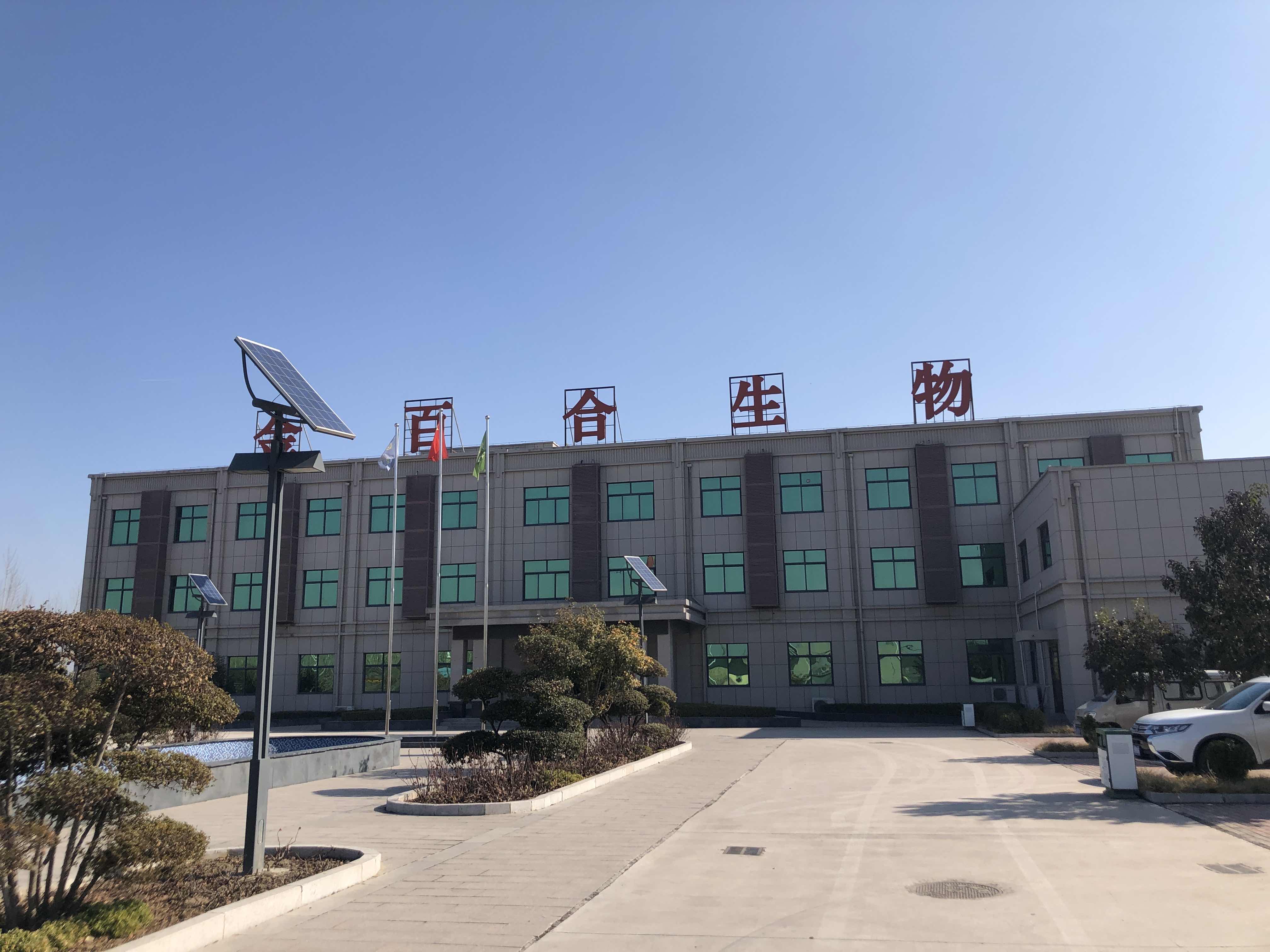 微生物小知识：什么是植物乳杆菌？