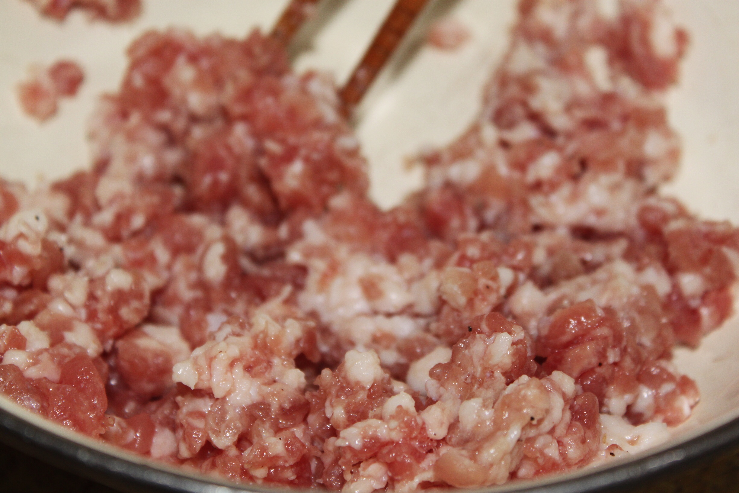 粤菜肉末橄榄菜四季豆的做法大全,橄榄菜炒四季豆的做法窍门是什么