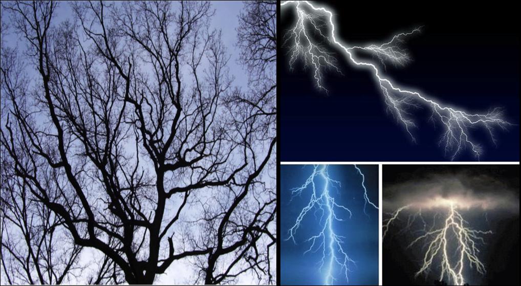 股票期货高手必看,期货必须懂的交易方法