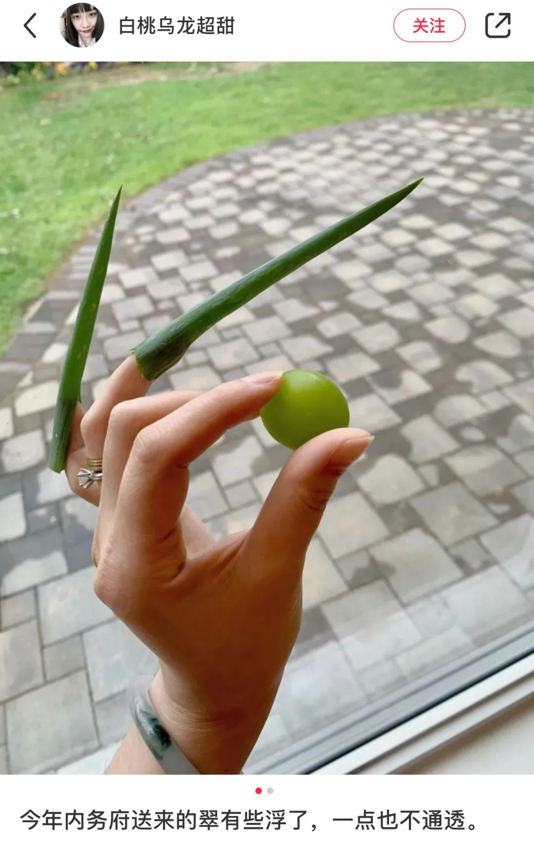 晴王和阳光玫瑰是一个品种吗,日本晴王葡萄和阳光玫瑰的区别