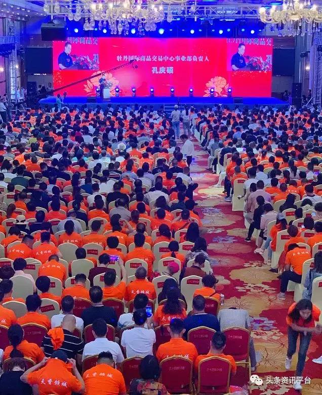 大蒜电子盘死灰复燃,牡丹国际大蒜电子盘交易历史数据