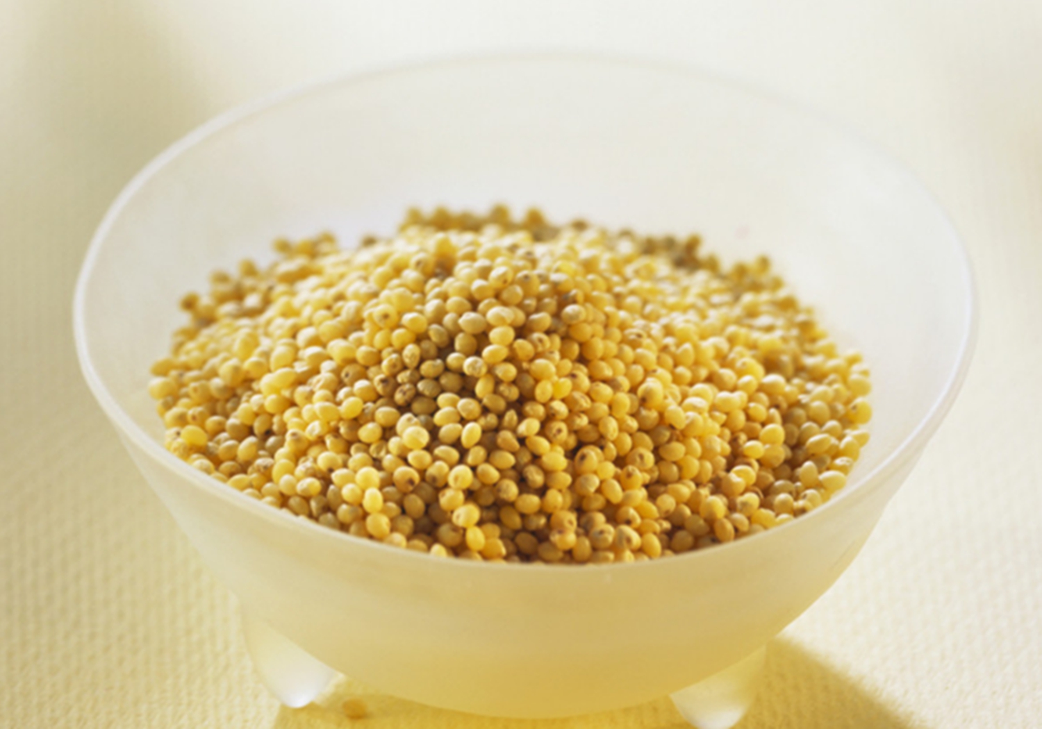 谷子种植：播种方法你知道多少？这里列有几种，来学习一下