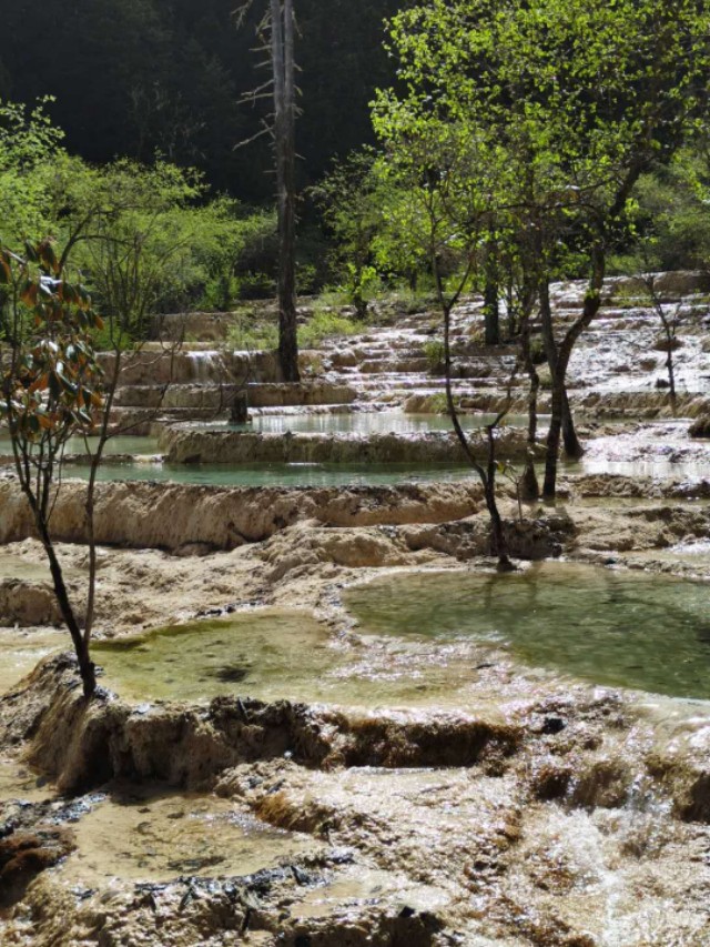 游览被誉为人间瑶池的四川黄龙,黄河之水天上来景区视频
