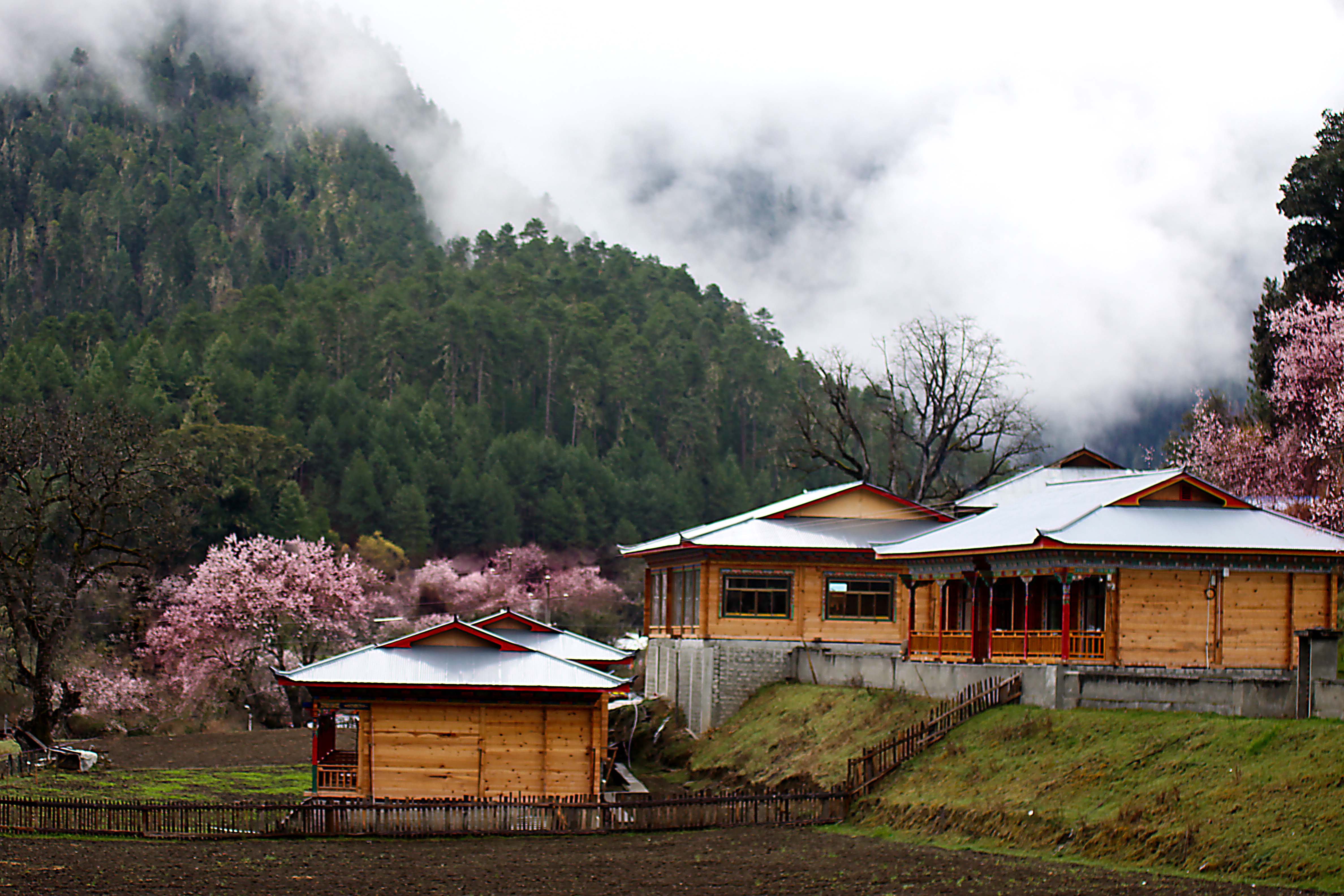 简要的唠叨一下*藏西**6市1地区，打开你对*藏西**的认知大门