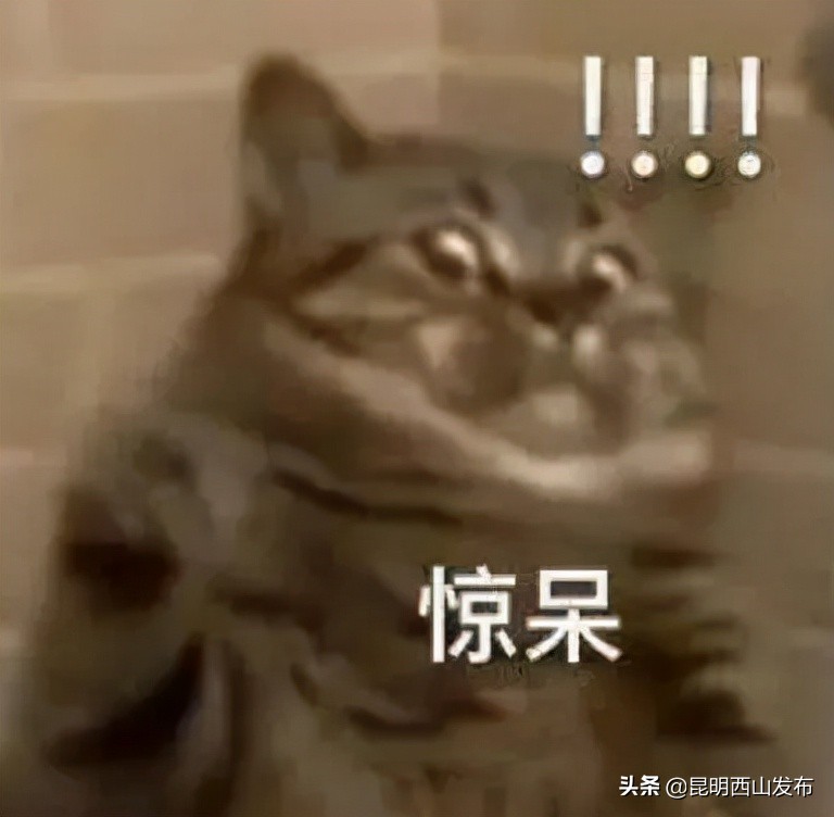 莫比乌斯发现怪圈的故事,神奇的莫比乌斯带