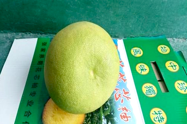 张家界菊花芯柚,菊花芯柚是张家界特产吗