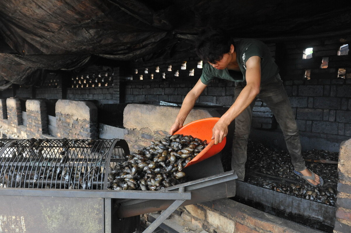 槟榔真的是软性毒品吗,软性毒品槟榔的危害有哪些