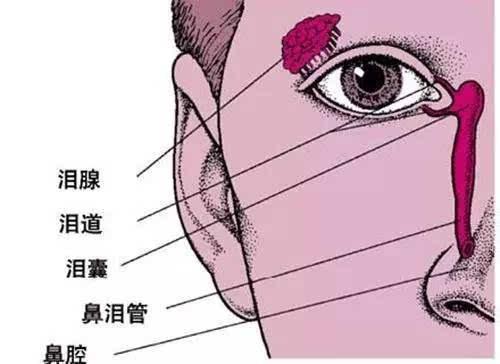 眼睛越揉越痒用中医怎么解释,眼睛很痒越搓越痒严重吗