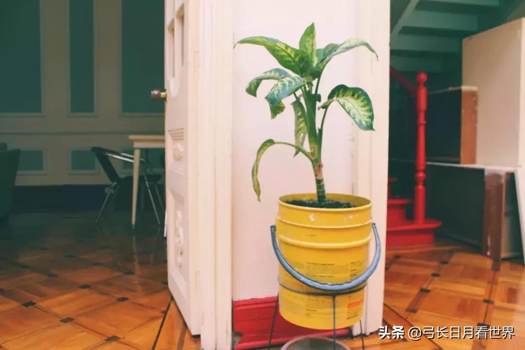 打工换宿厦门,新西兰打工换宿靠谱吗