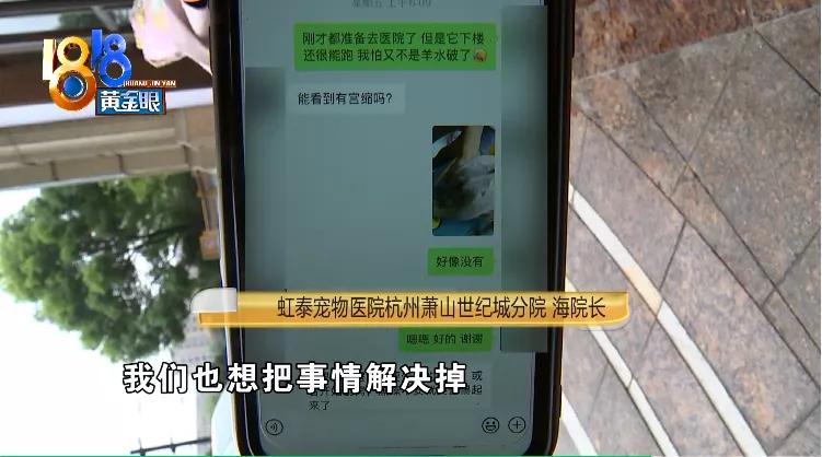 四胞胎都没有胎心胎芽正常吗,四胎无创都没问题五胎会有问题吗