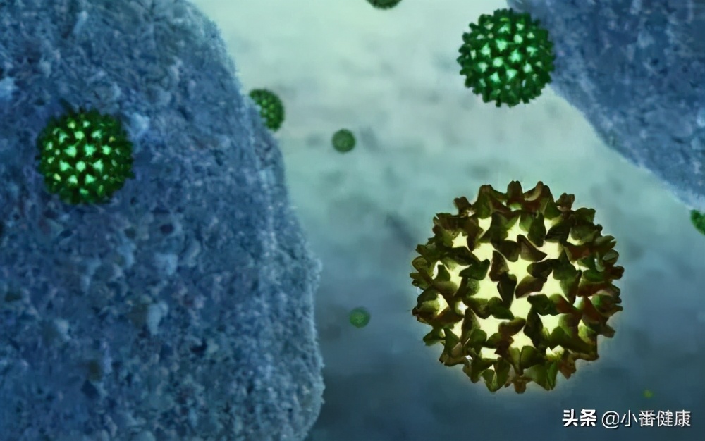 乙肝新药靶点,乙肝新药进度分析