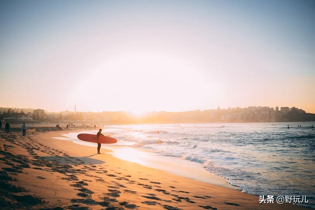 澳洲人的日常，比抢厕纸好玩多了