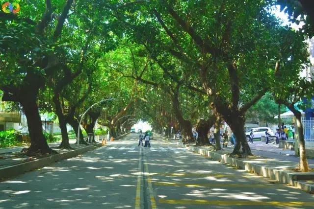 从平安路到桃园路的旧街，独属于老香洲的记忆