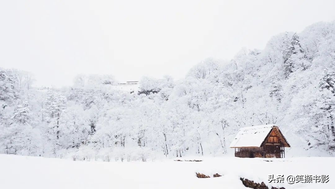 四月芳菲尽山寺桃花始盛开是什么意思,四月芳菲始盛开小说