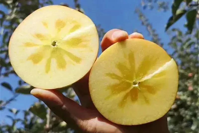 新疆广袤的沙漠地下真的有暗河吗,新疆的沙漠有一个大洞