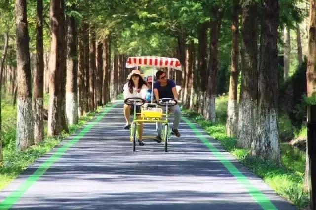 滨湖哪个小区房价最值得购买,滨湖未来房价与学区房