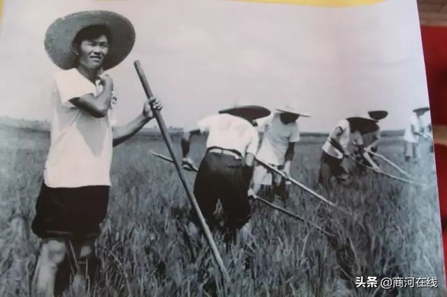 商河玉皇庙记忆,商河玉皇庙演武村近日视频