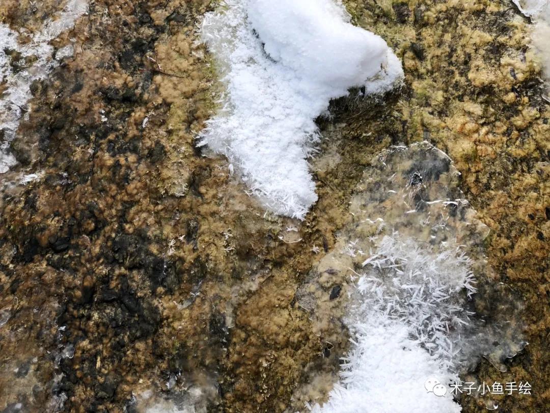 2021九寨沟官方视频,九寨沟跨年夜