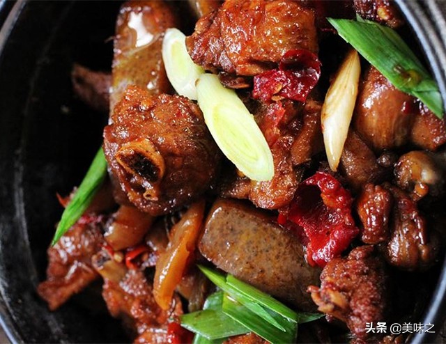 鸭肉100种做法,十五种鸭肉的做法大全