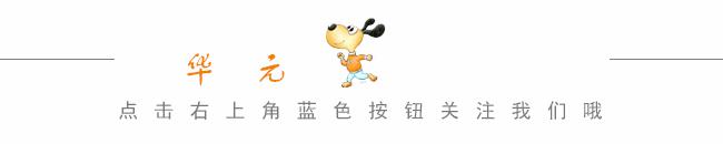 有什么品种狗狗既长不大又不掉毛,建议新手养的10种便宜狗狗不掉毛