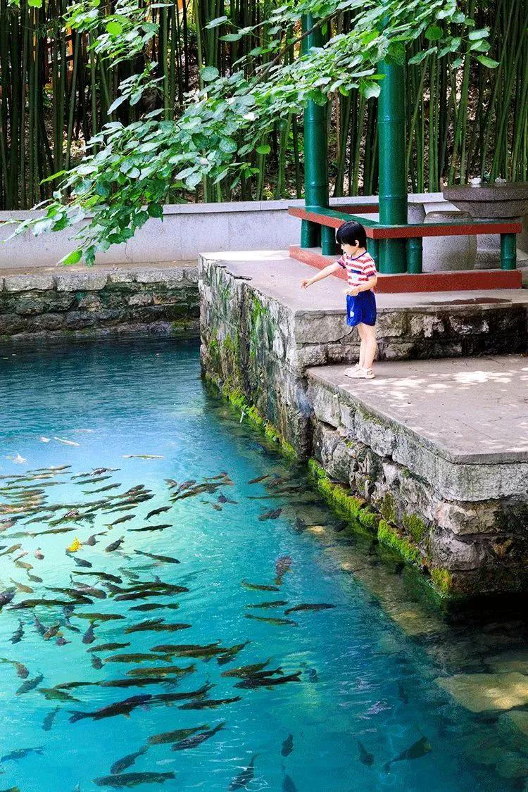 潍坊这5条颜值爆表的自驾线路，藏着美景无数，每一公里都美到极致！