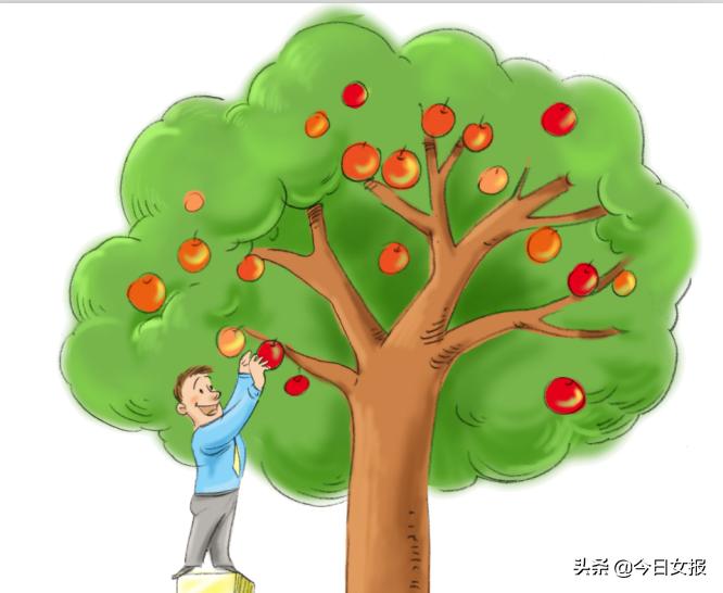 小区业主对植物喷洒农药事件,小区枇杷树说打了农药