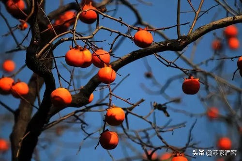 中国第五大发明有什么用,中国四大发明哪个对世界影响最大