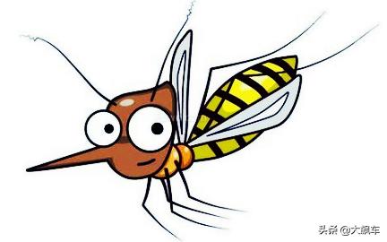 车里蚊子怎么驱赶不用任何东西,车里停地下室有蚊子怎么驱赶