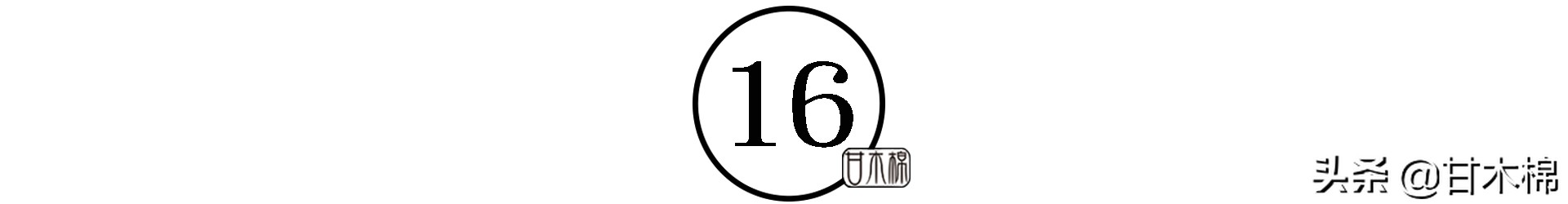 童年野果子,儿时的野果子总让人回味无穷