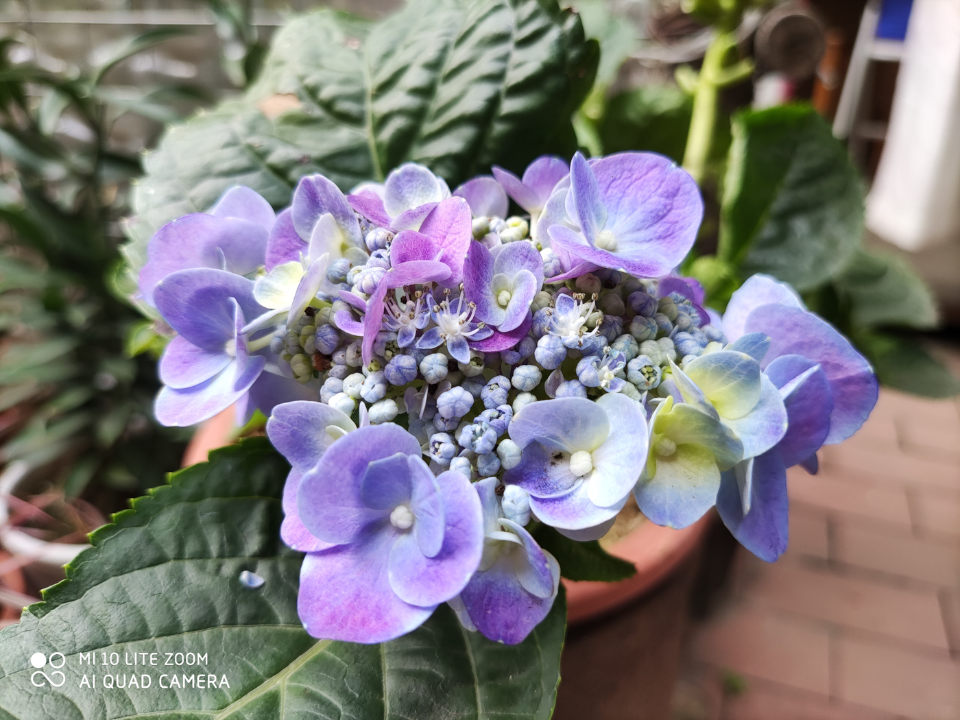 小米10青春版详细测评,小米10青春版测评刺激战场