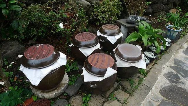 东北人一日三餐都离不开蘸酱菜,东北黄豆酱最快捷的自己在家做法