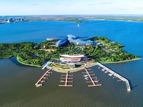 上海的大海现在成什么样了,上海的大海有船吗