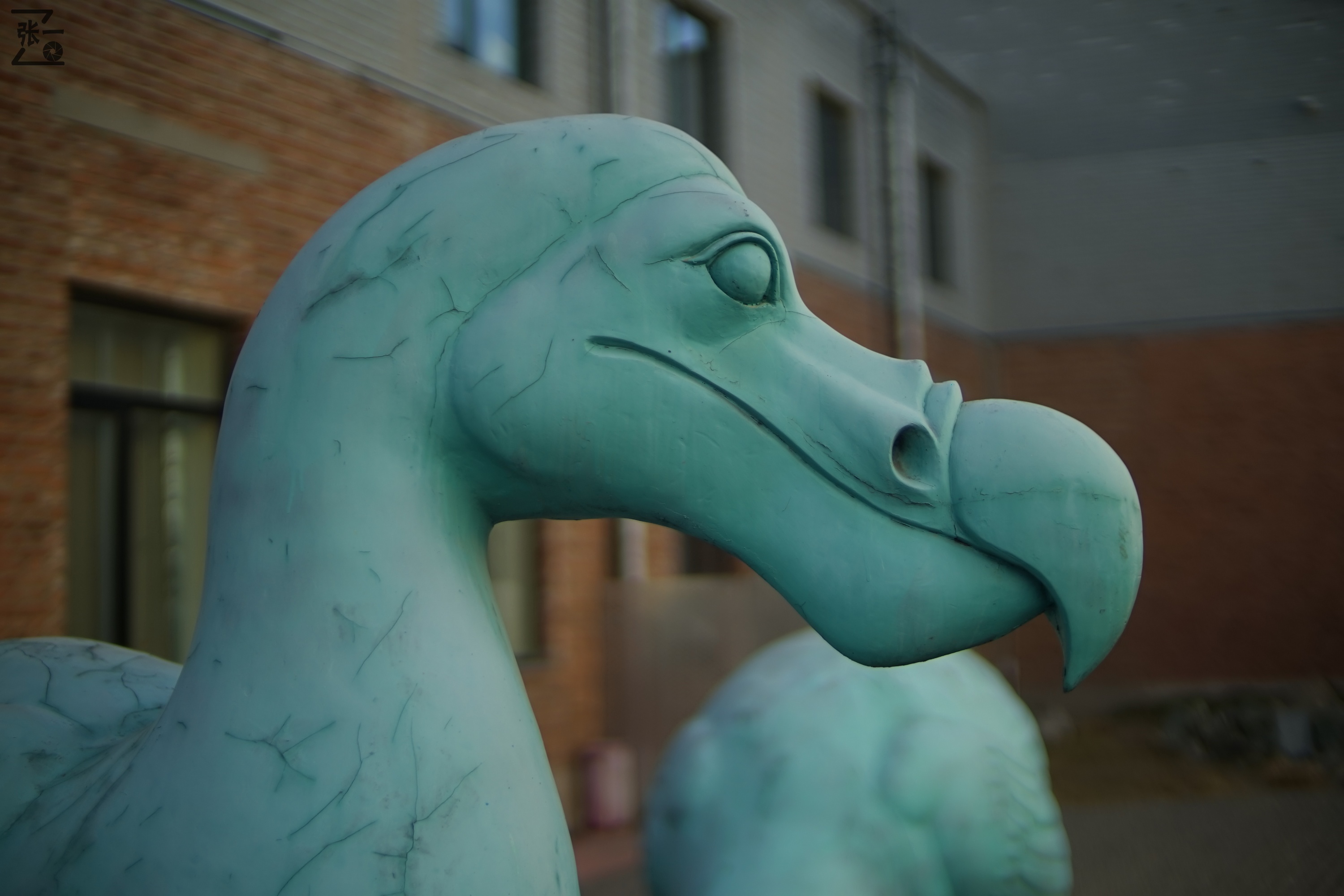 中国产微单,24-135镜头索尼