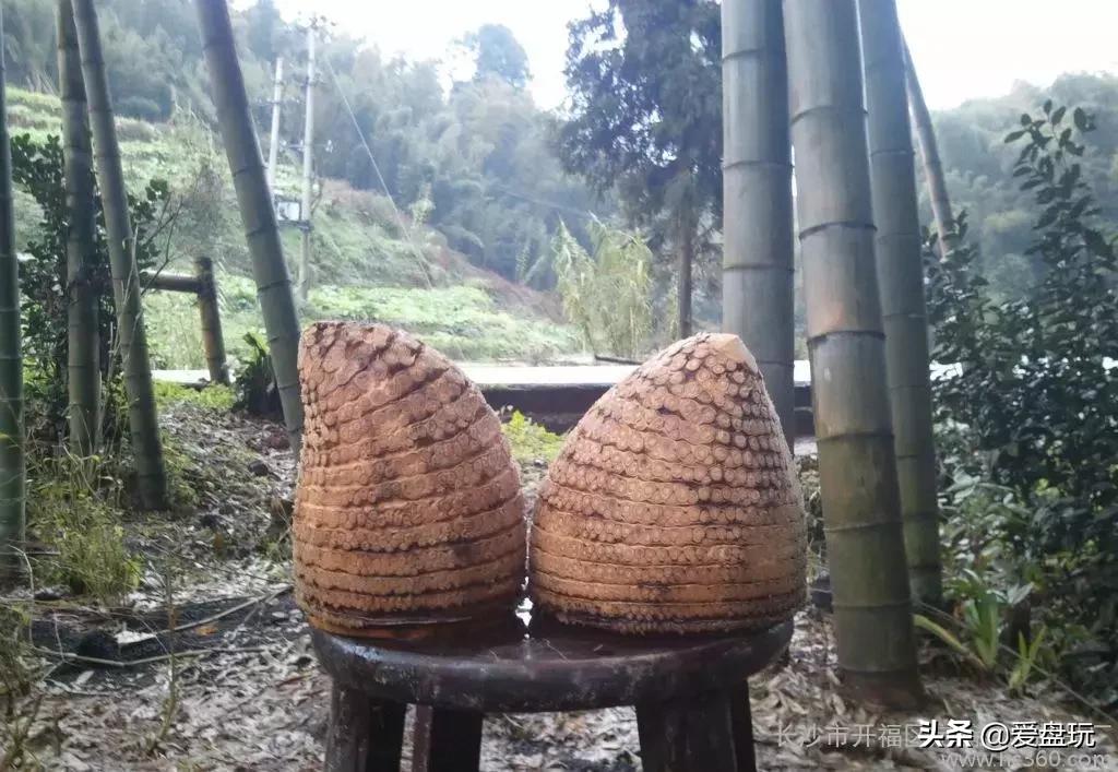 山上挖了块竹根，他砍了砍，竟能盘出通透的枣红色！