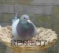 珍藏很久的40张趣图看完都笑疯了,逗趣图片