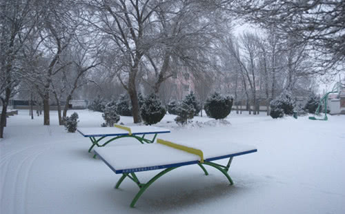 冬天的校园作文100字写景,冬天的校园真美作文250字