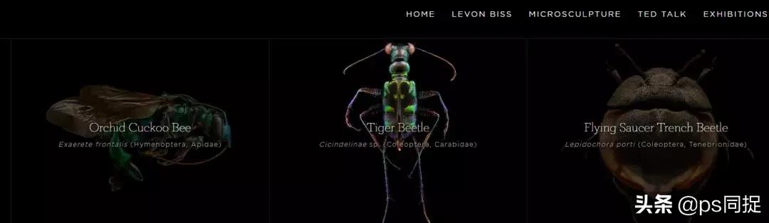 十大高质量素材网站,推荐10个鲜为人知的素材网站