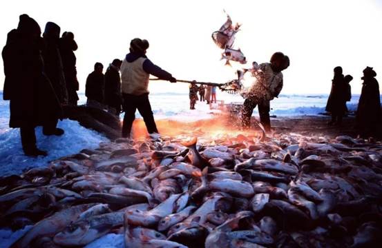 查干湖捕鱼基本上捕多少斤,查干湖冬捕每年什么时间捕鱼
