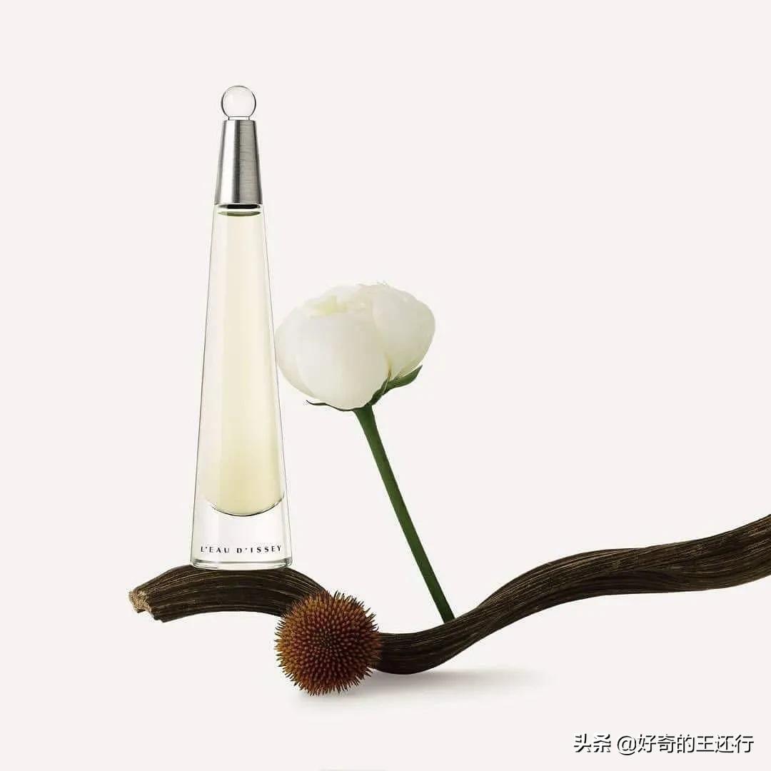 三宅一生的一生之水适合什么年龄,三宅一生女人