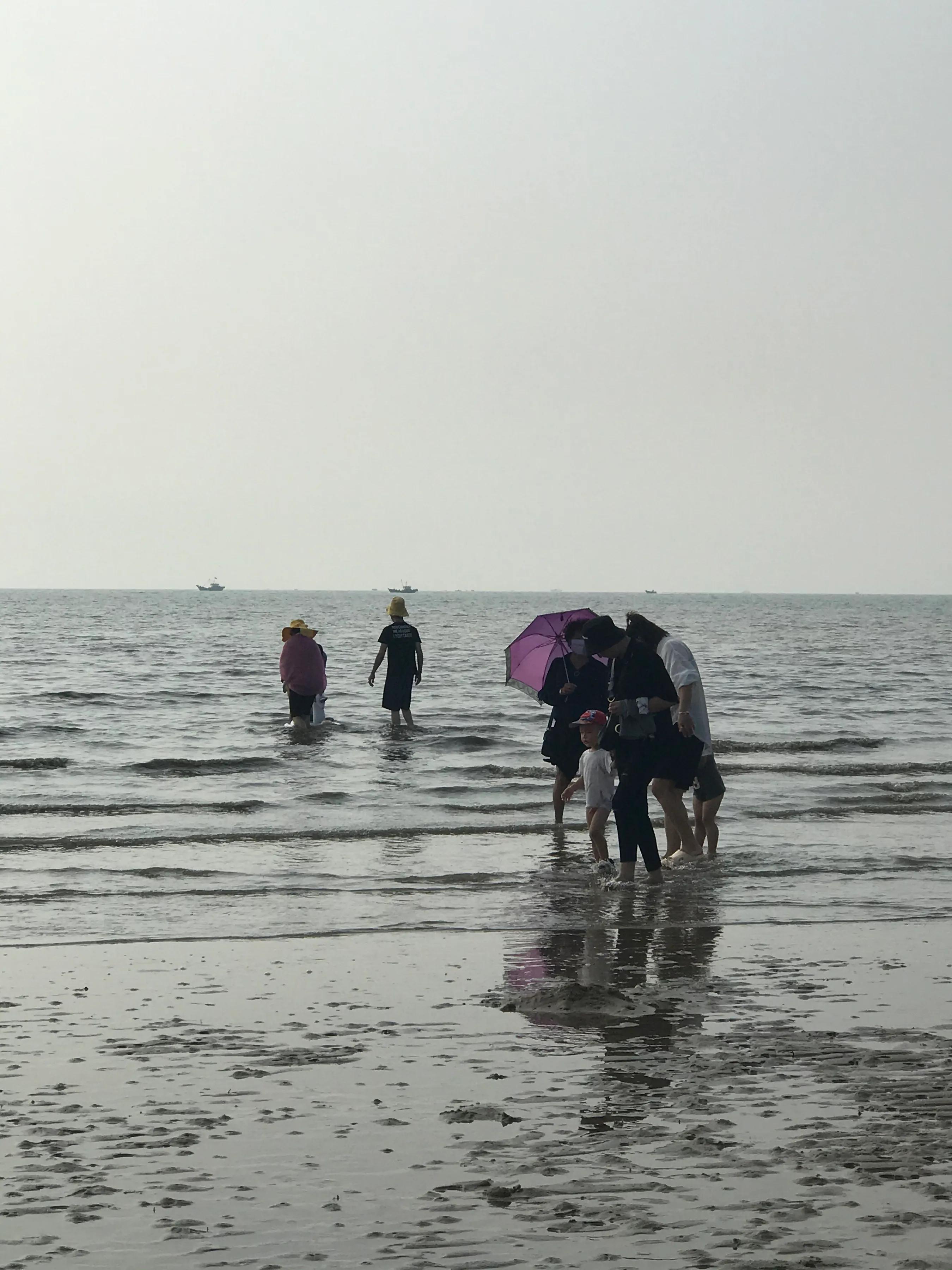 营口北海海洋公园免门票,营口北海海洋公园简介