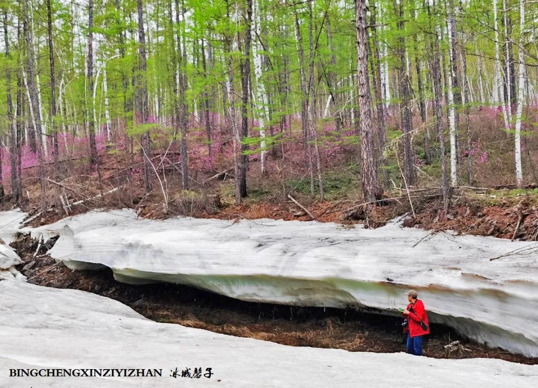 寻找中国最美的春季,探寻中国最美秘境