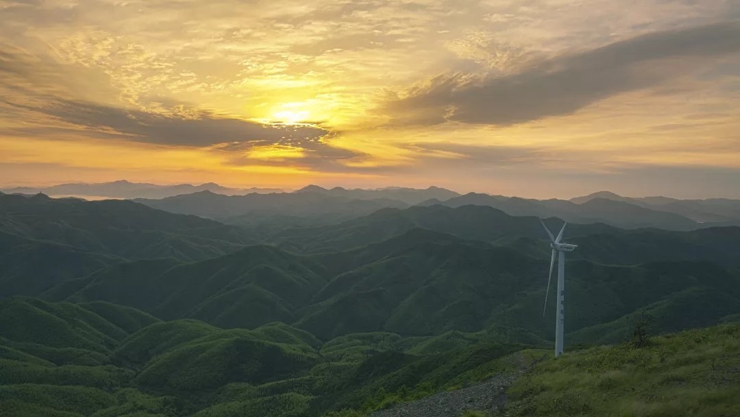 论足球观赏性,论足球运动的意义
