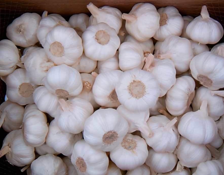 不管炖什么鱼汤牢记4点,不管炖什么鱼都要记住这个诀窍