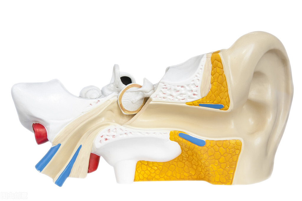 在显微镜下的耳屎有多脏,把耳屎放在显微镜下是什么