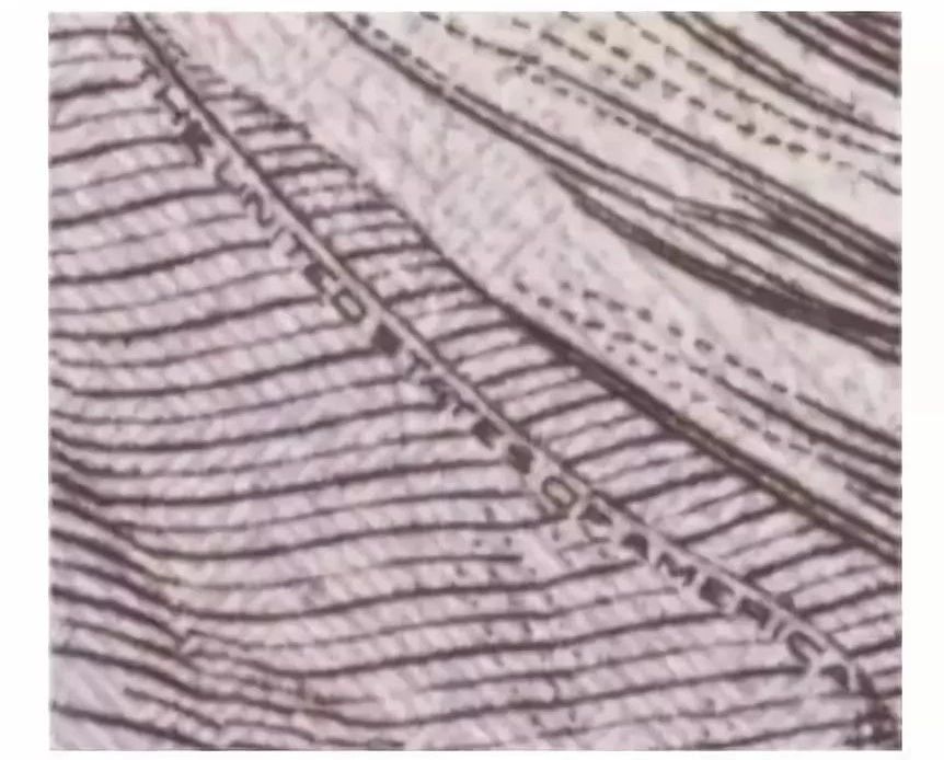 麦当劳中枪!新型假钞在美国被当真钱花?这样换外币更科学……