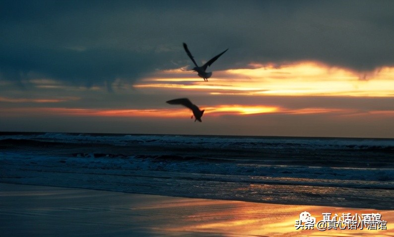 如何一个星期追上女生,跑步如何快速追上别人