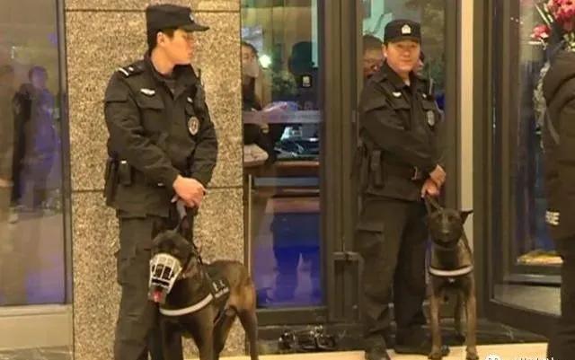 警察搜查民宅要见证人吗,警察可以去民宅搜查吗