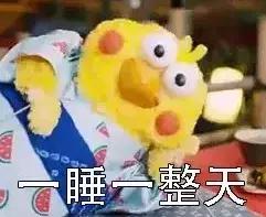 混吃等死、一夜暴富…现实给不了希望只能靠表情包续命