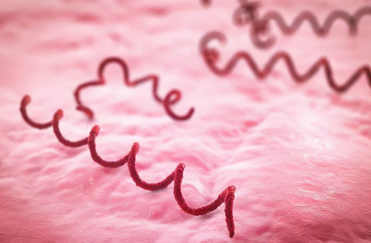 体表长肉疙瘩是病吗,私部长疮是什么病